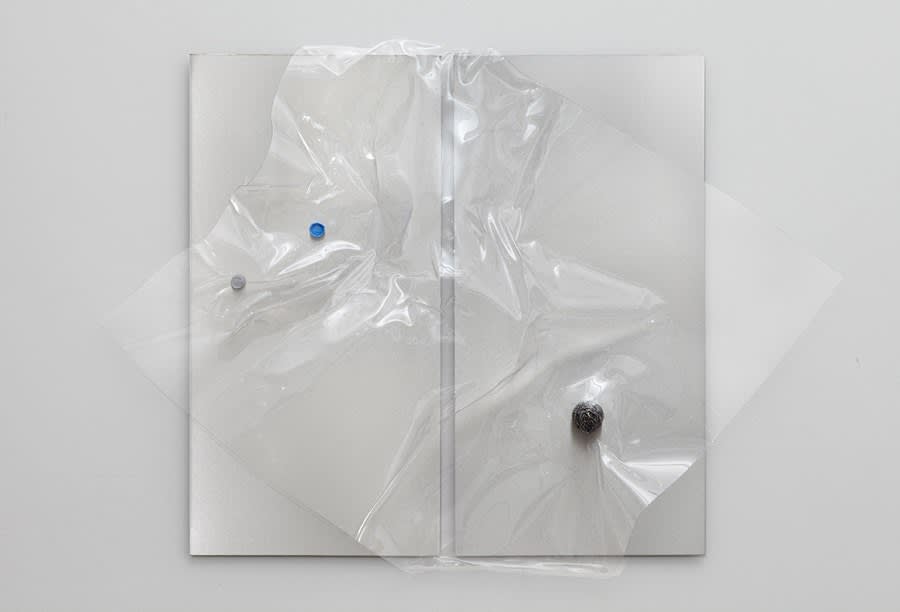 Juliette Bonneviot, Minimal Jeune Fille. Diptych, 2013