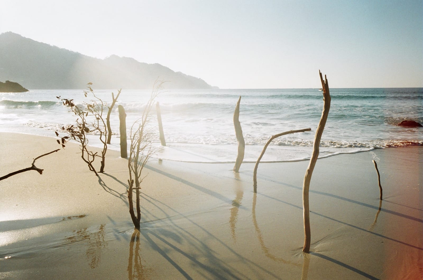 Shimabuku, Erect, 2017