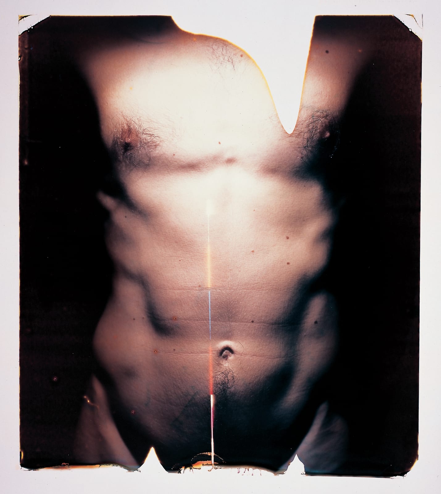 Paolo Gioli, Torso, 2007