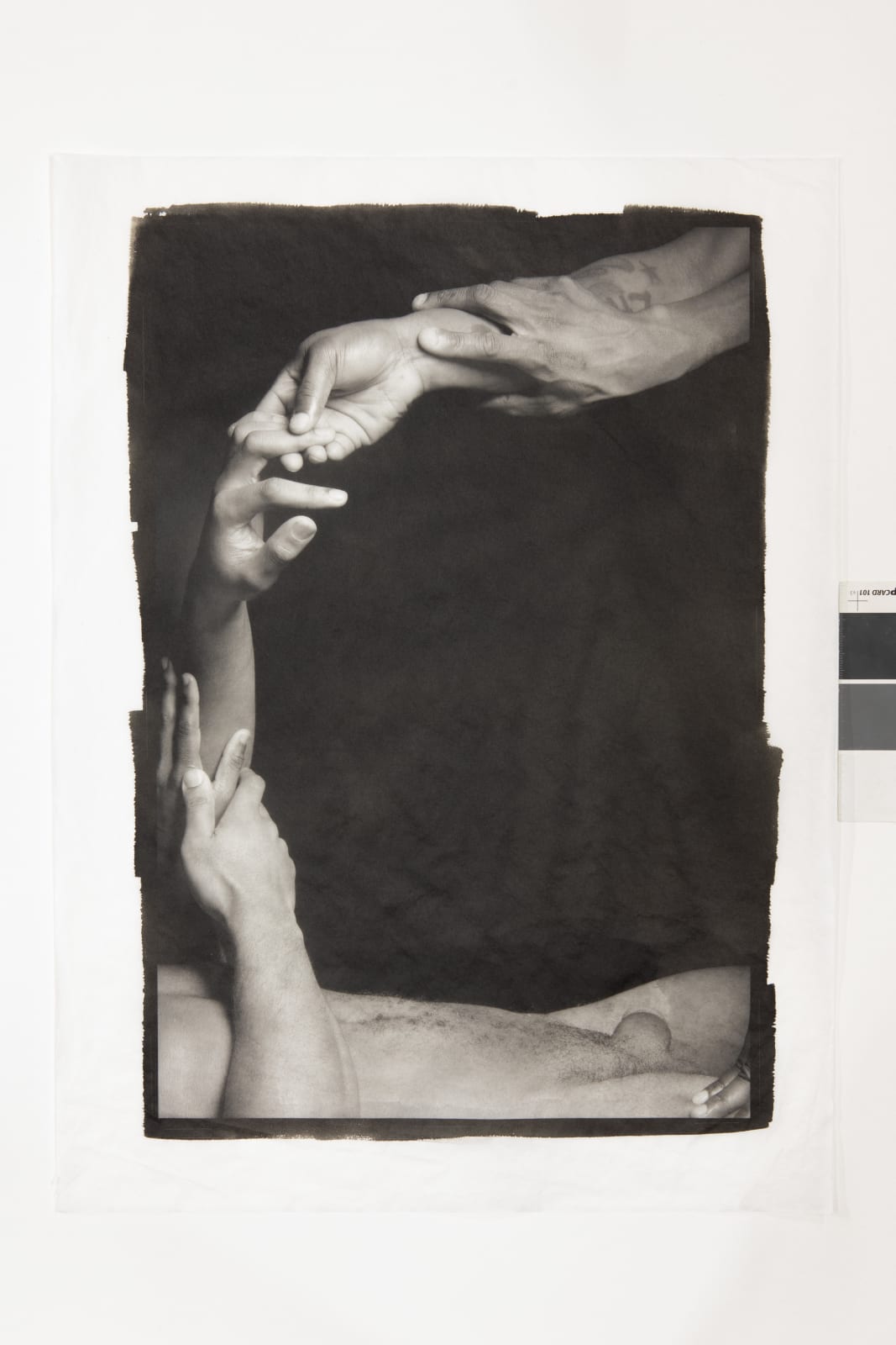 Ajamu X, A Sensual Chorus of Gestures XI, 2024