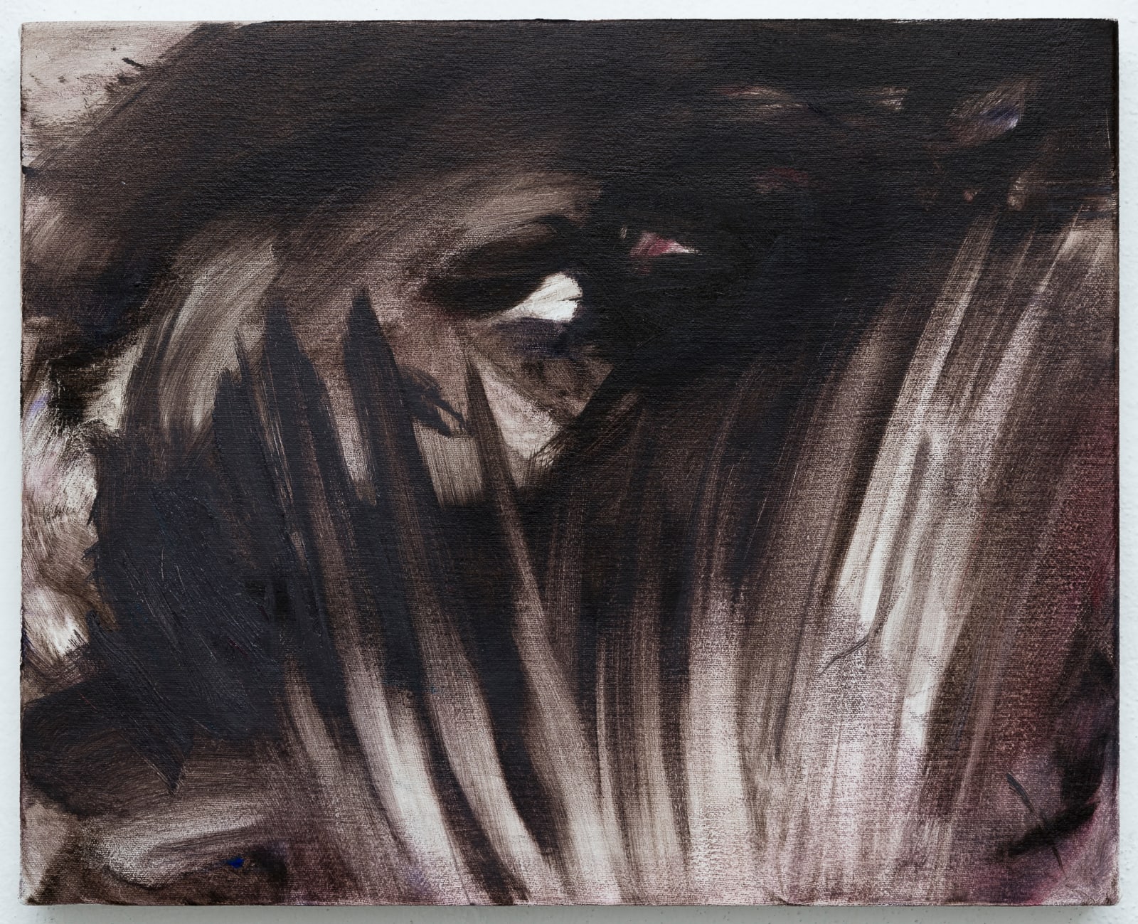 Julia Dubsky, Van Dyke Brown and Studio Dust, 2019