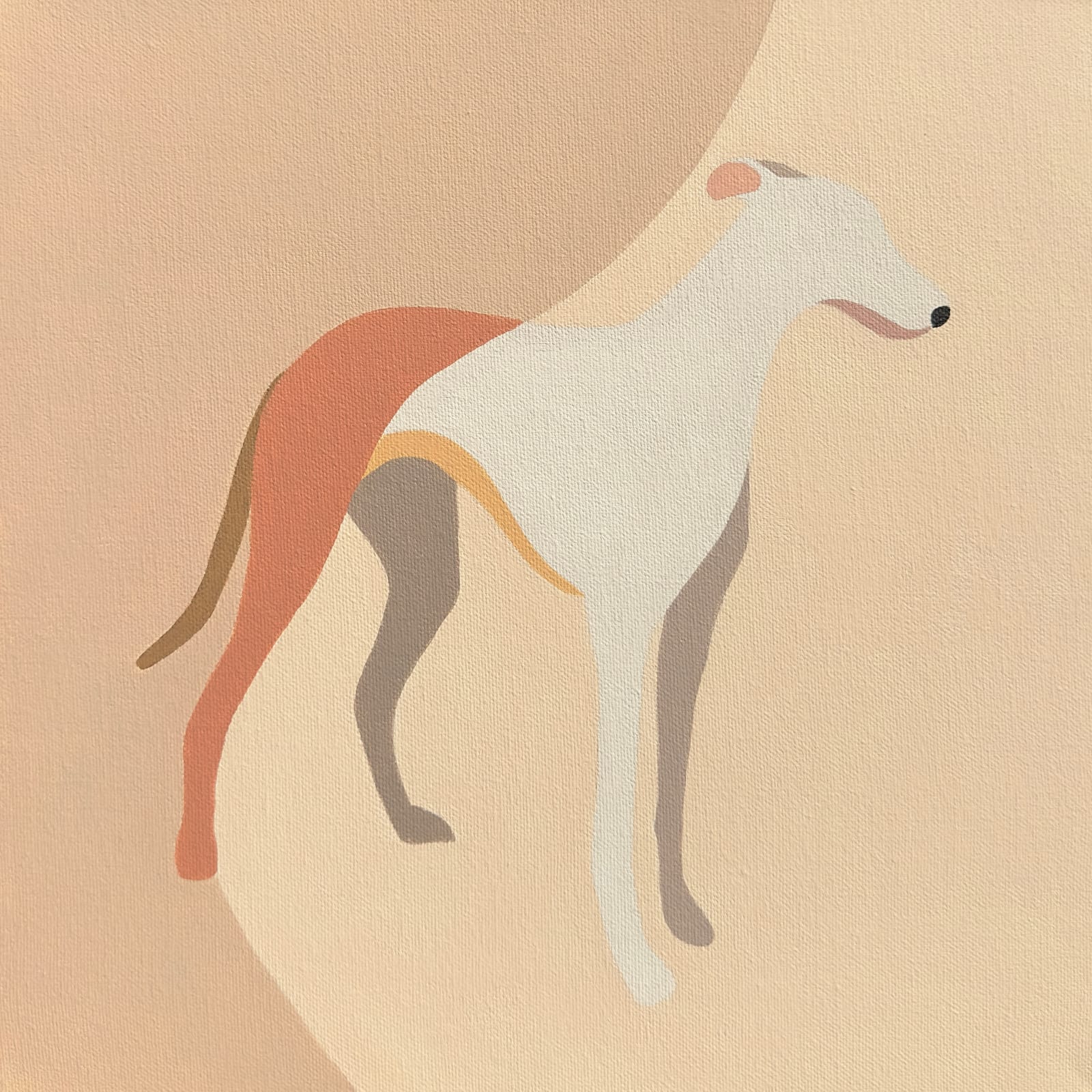 Kate Matsevych, Sighthound
