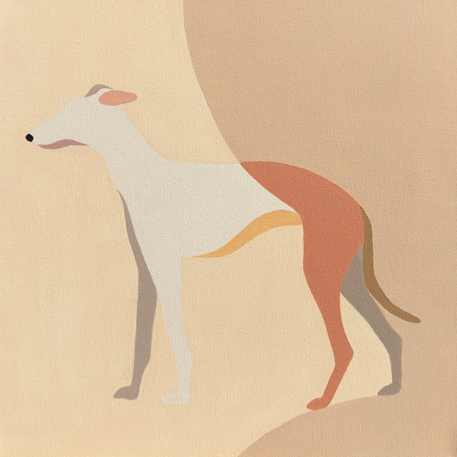 Kate Matsevych, Whippet