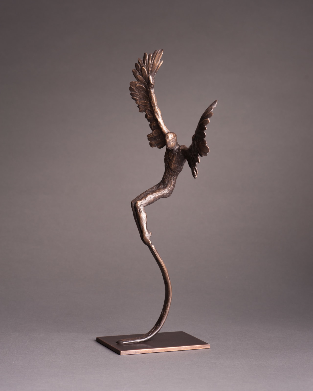 Nicola Godden, Icarus V, 2023