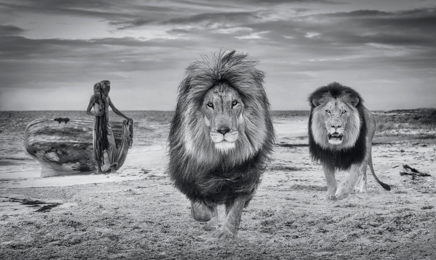 David Yarrow, The Old Man and the Sea