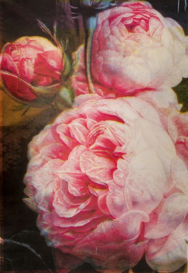 Russell Young, Sub Culture