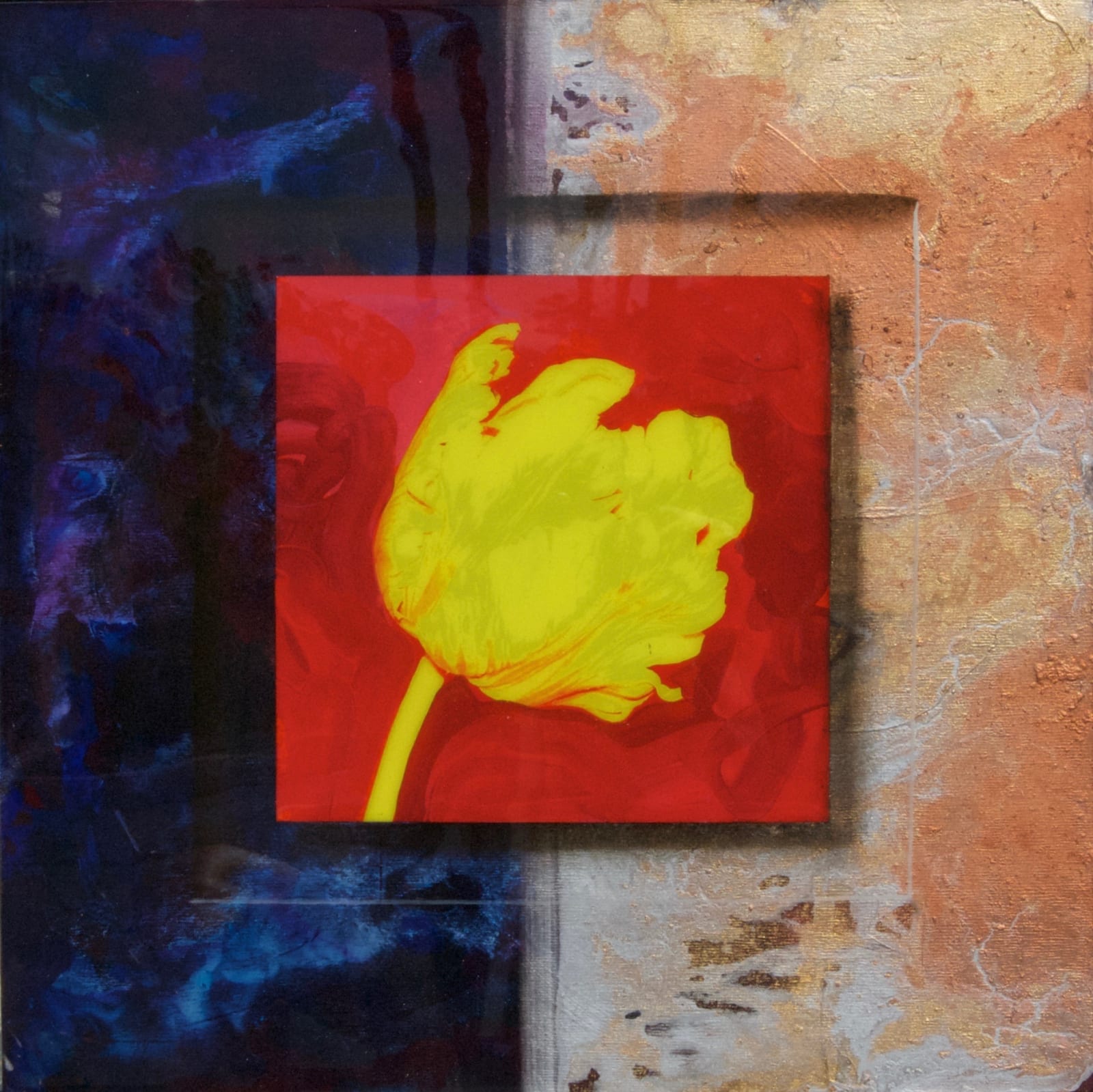 James Jensen, Yellow Tulip 00129