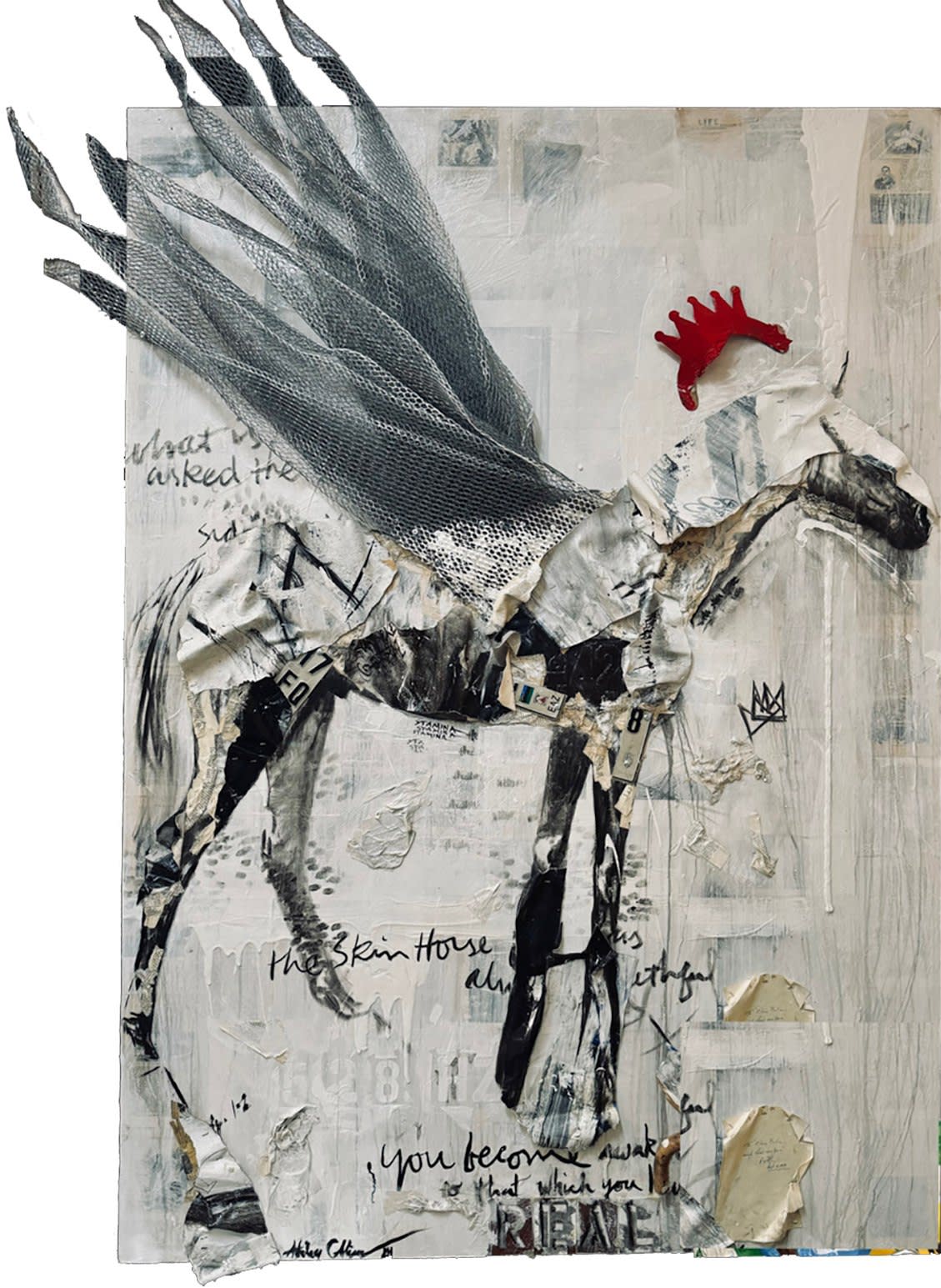 Ashley Collins, Realm