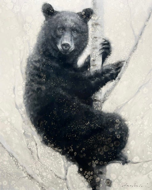 David Riley, Hanging Out