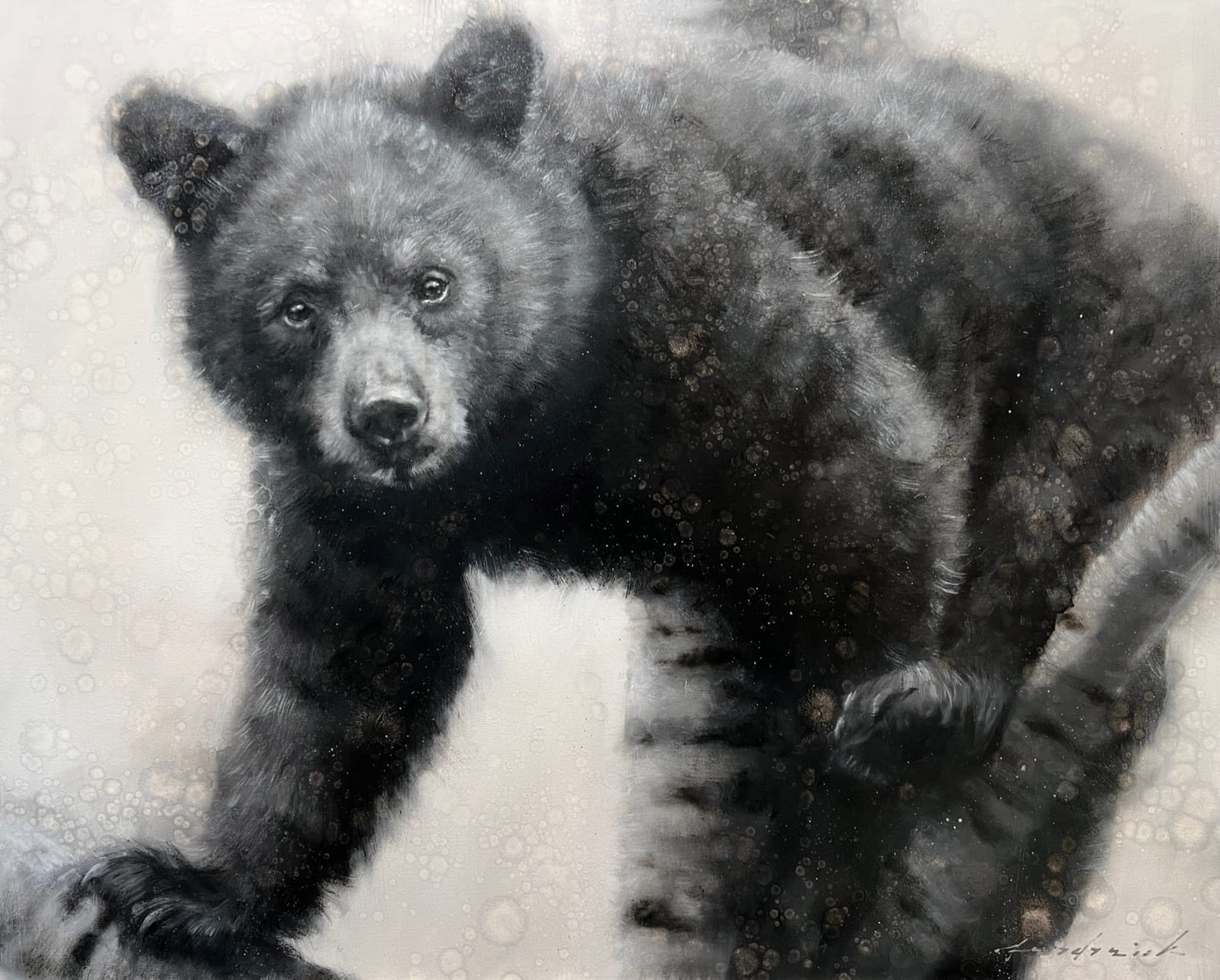 David Riley, The Lookout