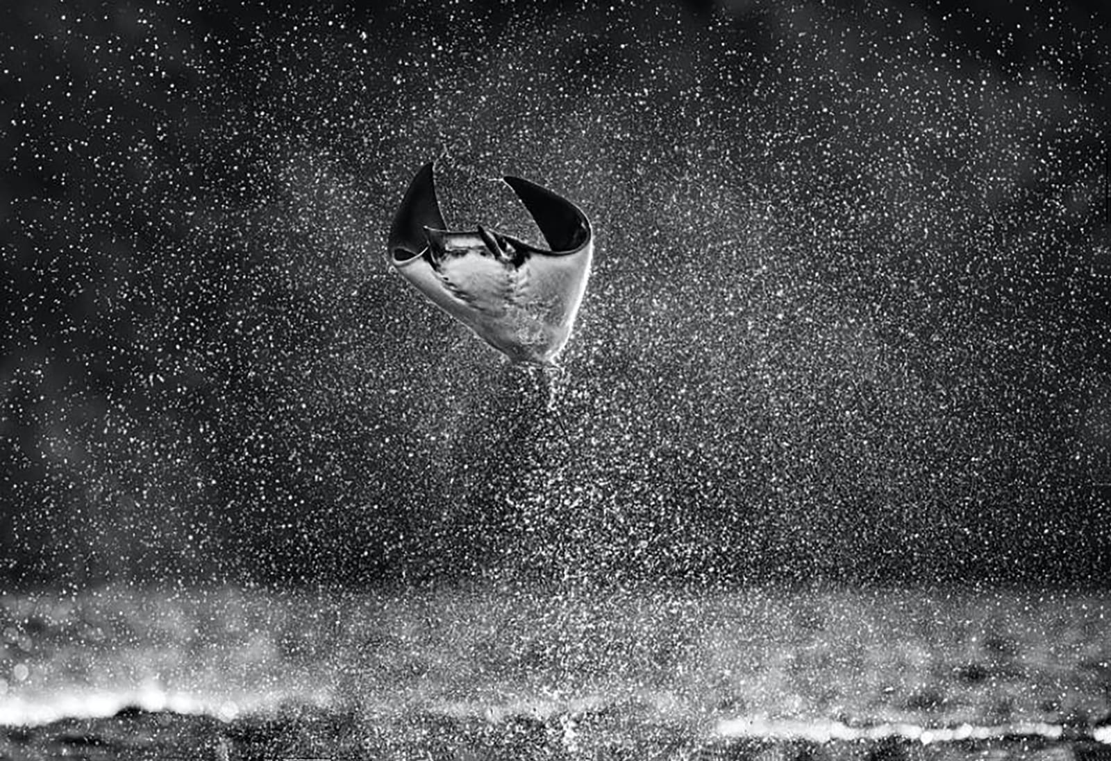David Yarrow, Mars Attacks!