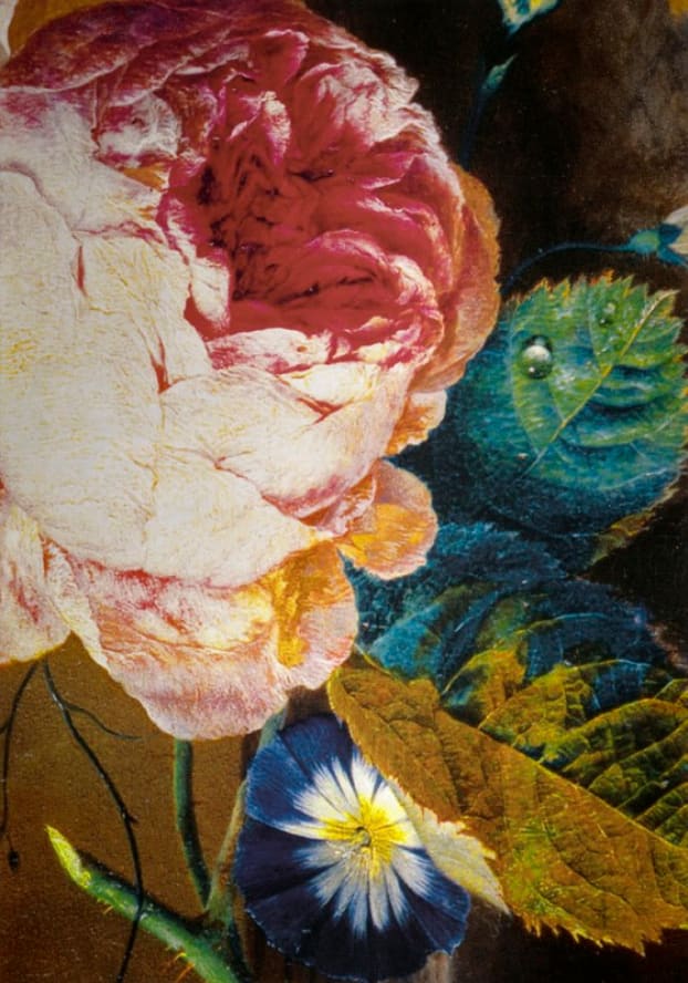 Russell Young, World