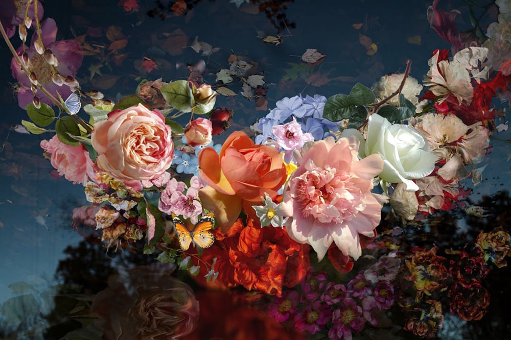 Antal Goldfinger, Papillon Paradis