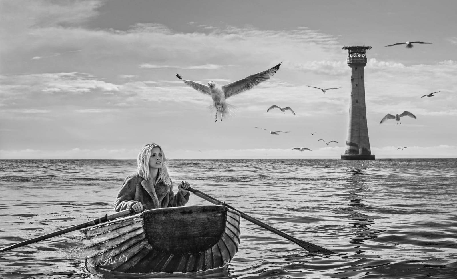 David Yarrow, The Birds