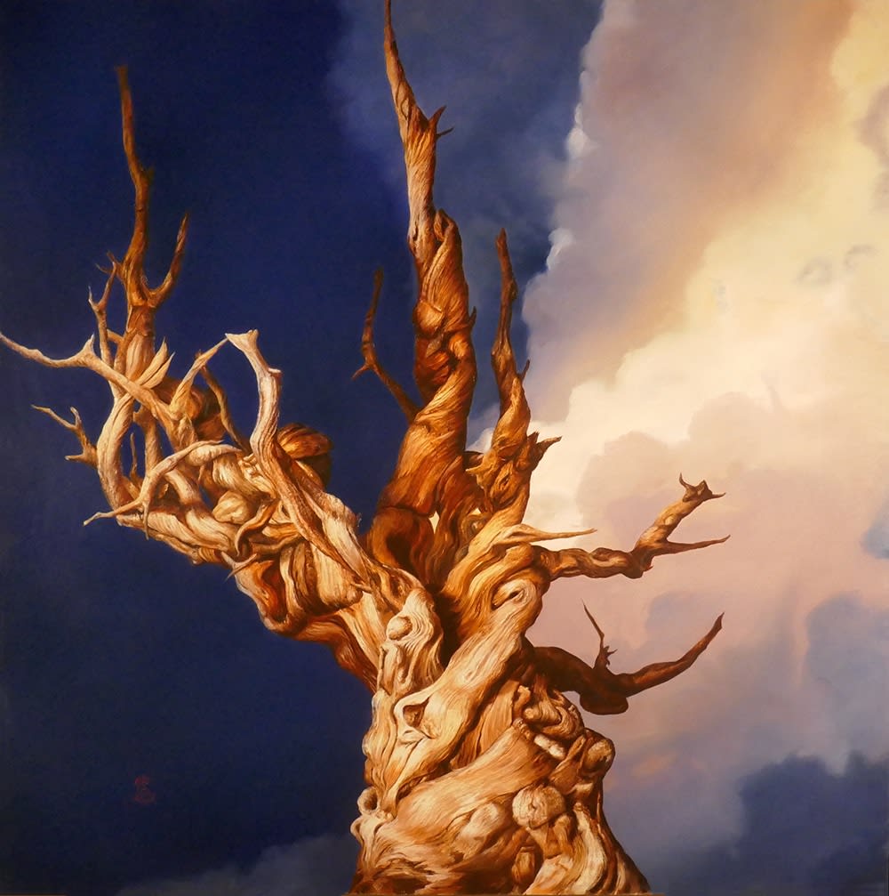 Antal Goldfinger, Bristlecone Pine