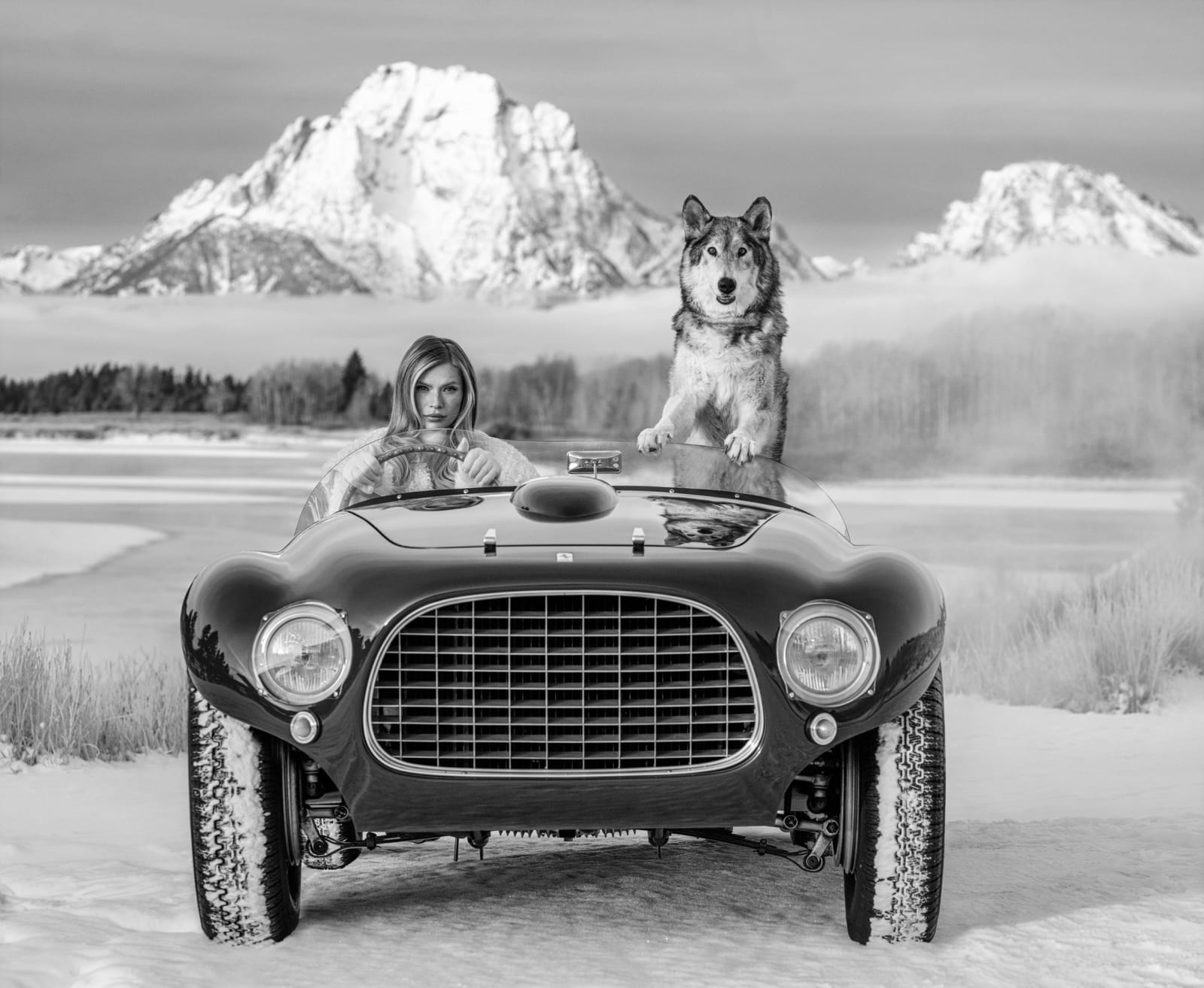 David Yarrow, The White Lady