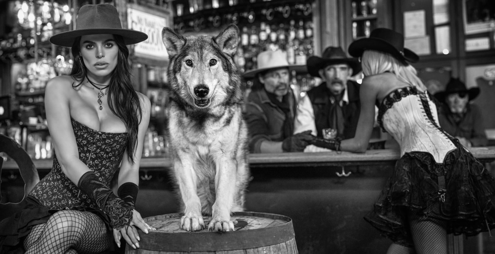 David Yarrow, Be Careful What You Wish For