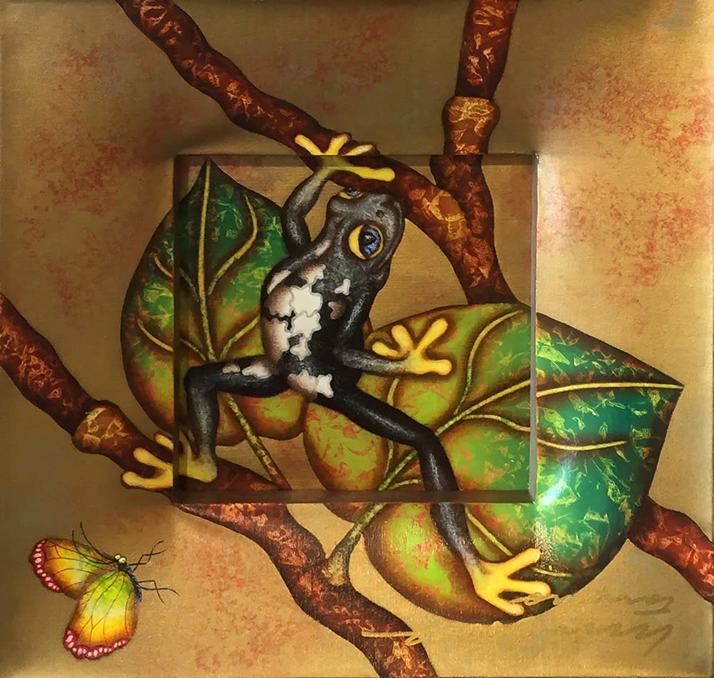 Luis Sottil, Cautious Black Frog