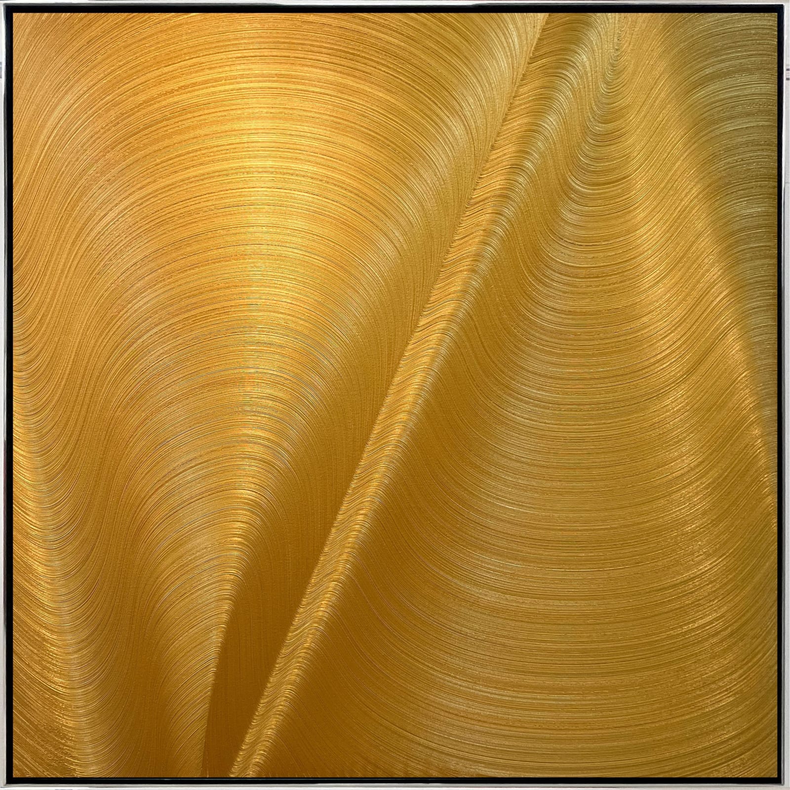 Hamilton Aguiar, Optical 22132