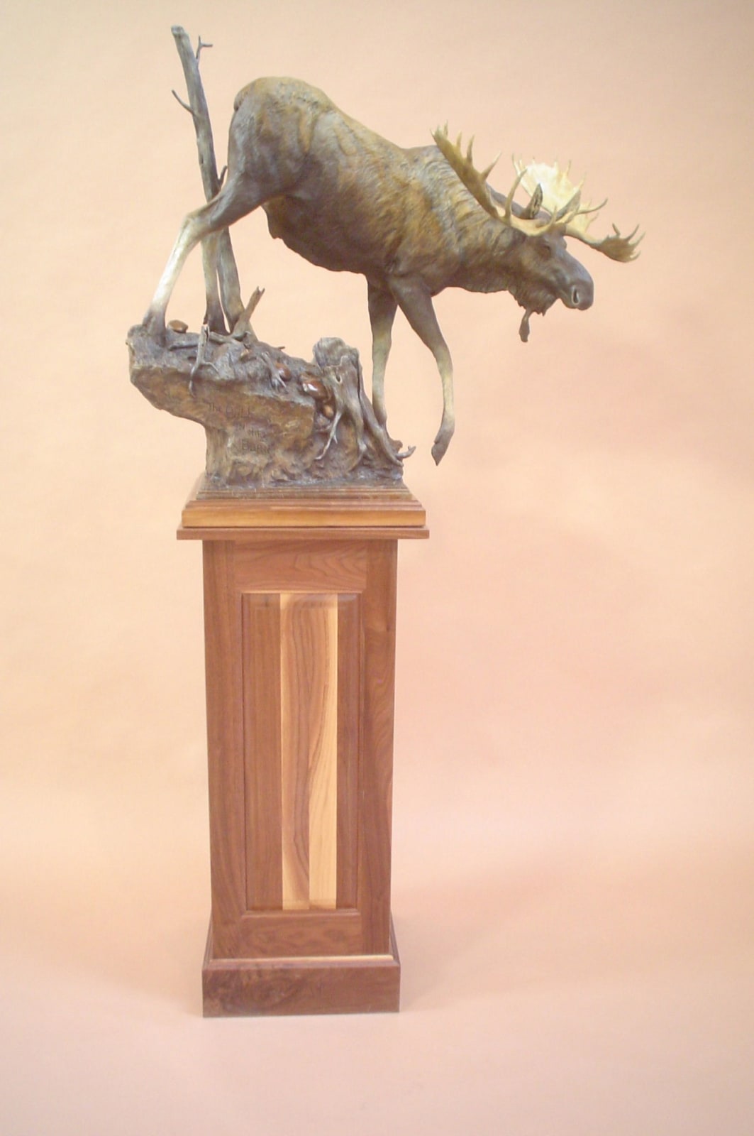 Sam Terakedis, Bull in the Burn