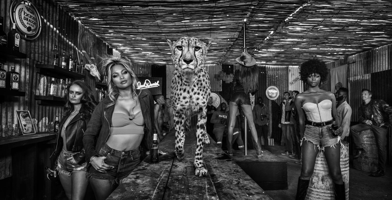 David Yarrow, Cheetahs