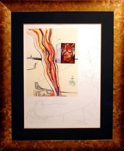 Dali, Liquid & Gaseous Television