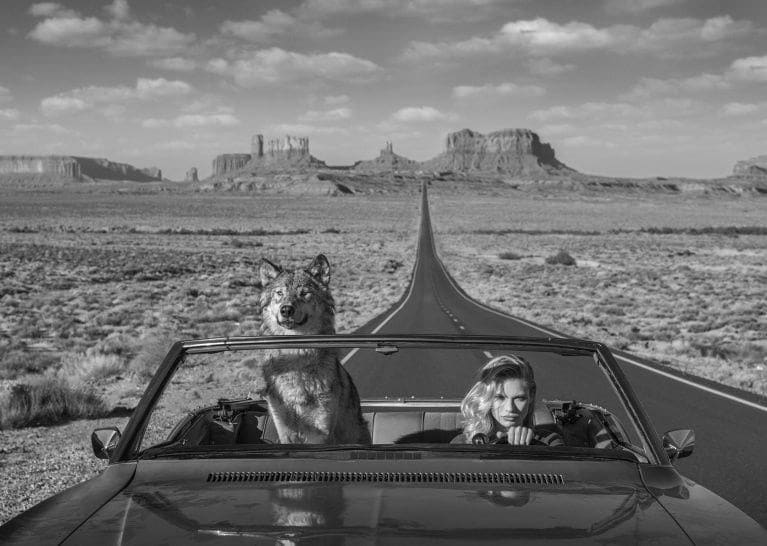 David Yarrow, Road Trip II