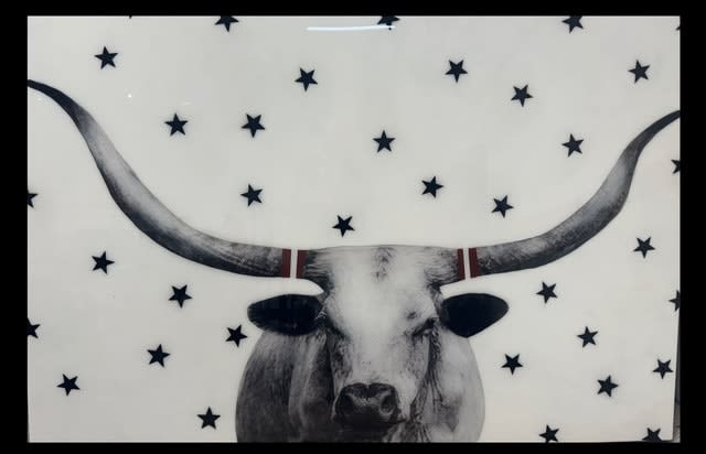 Anke Schofield, In the Stars