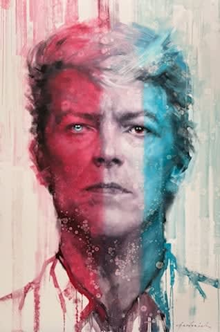 David Riley, Starman