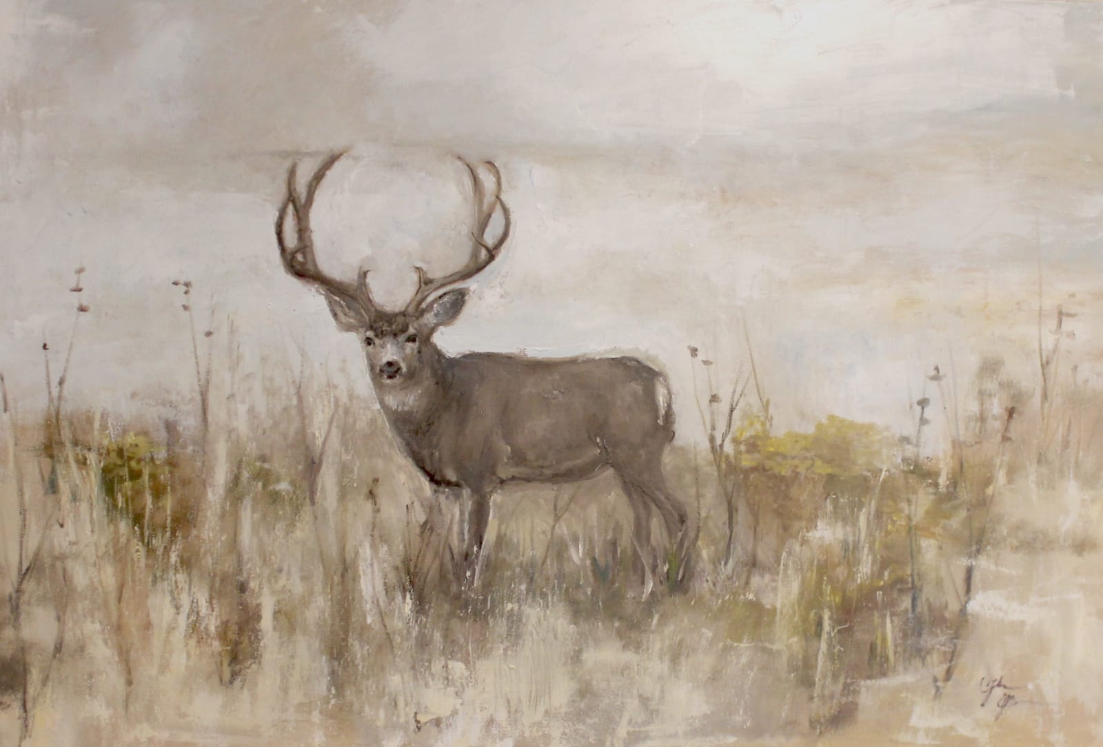 Gloria Grace Blinn, Mule Deer