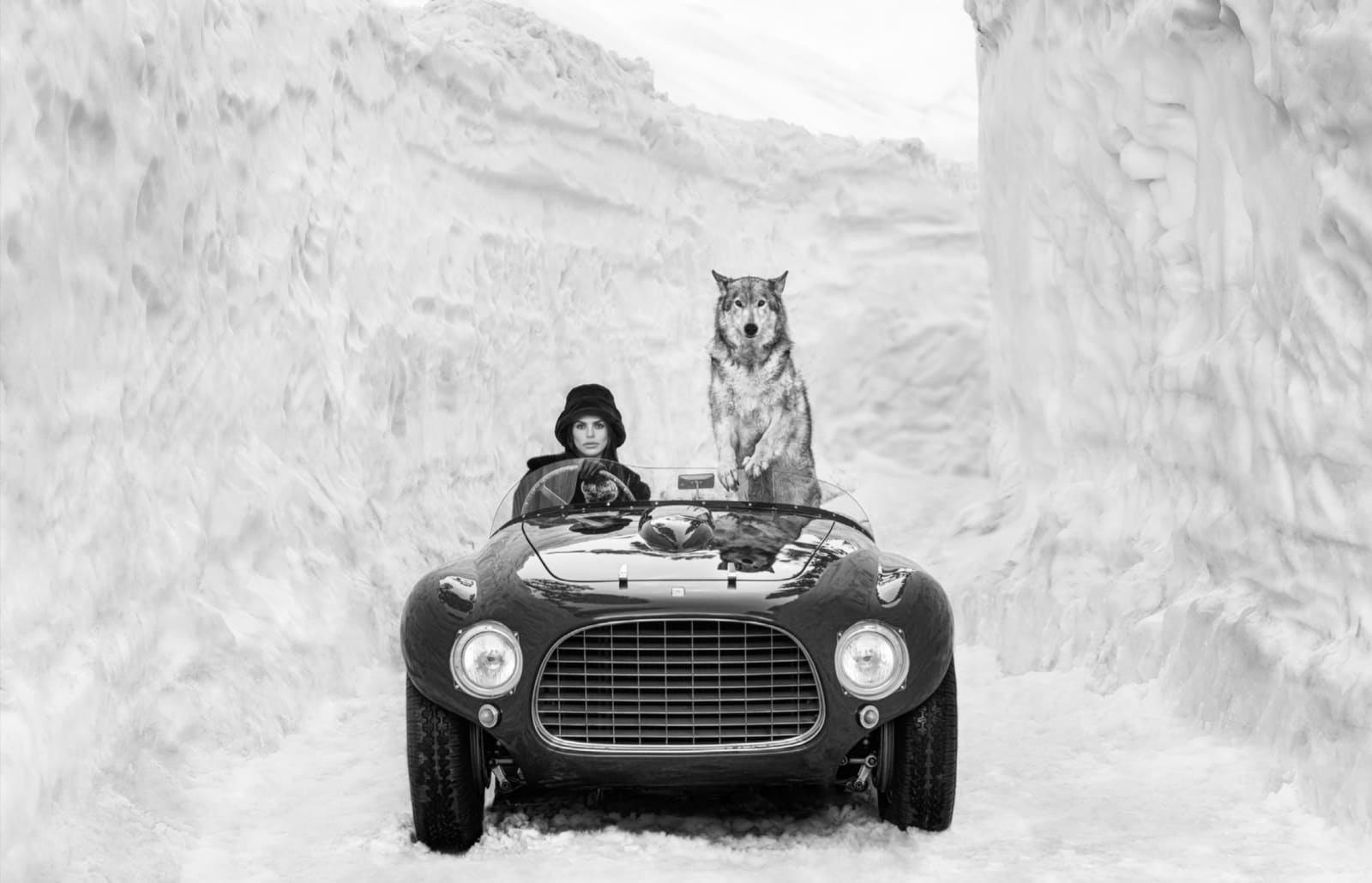 David Yarrow, 1953 (B&W)