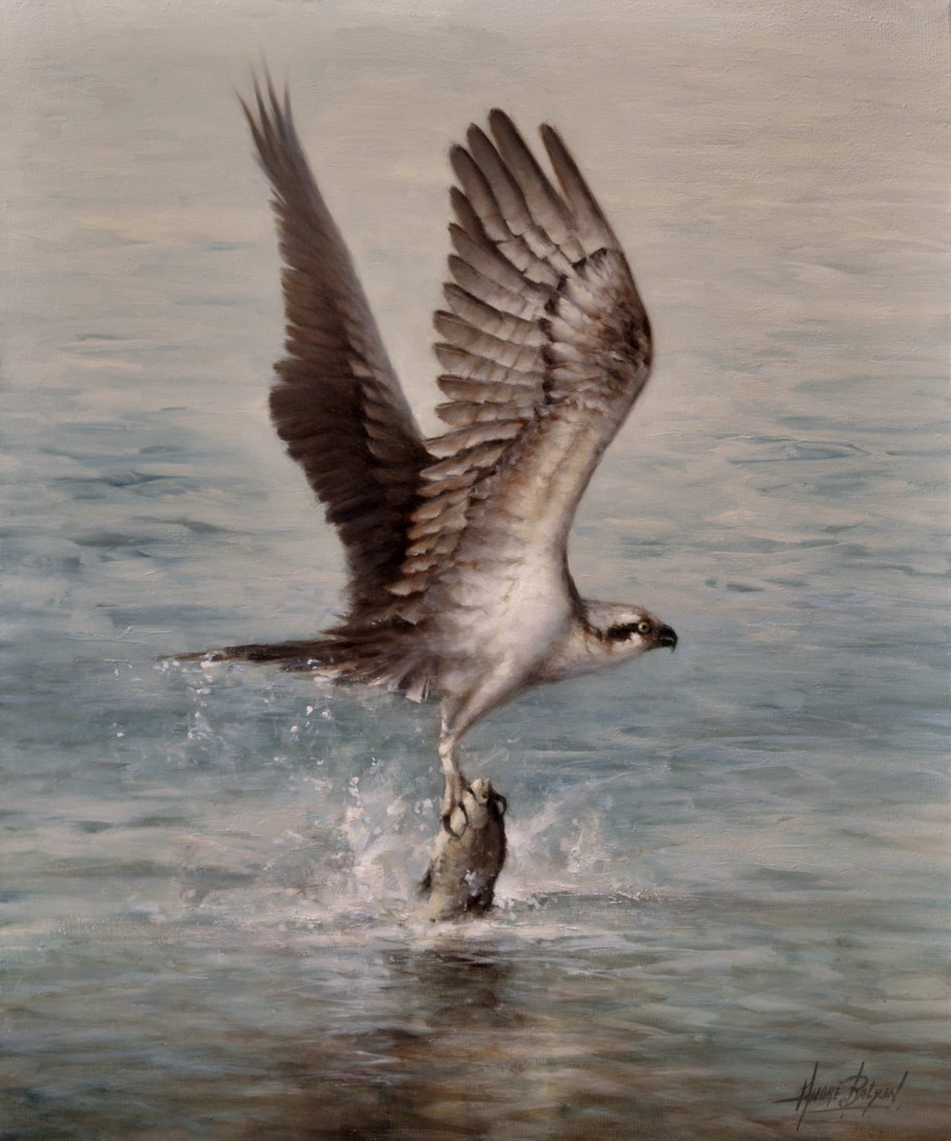 Andre Balyon, The Osprey