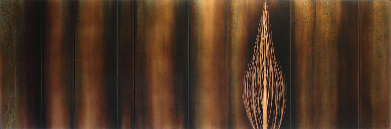 Hamilton Aguiar, Cores (brown) 16092