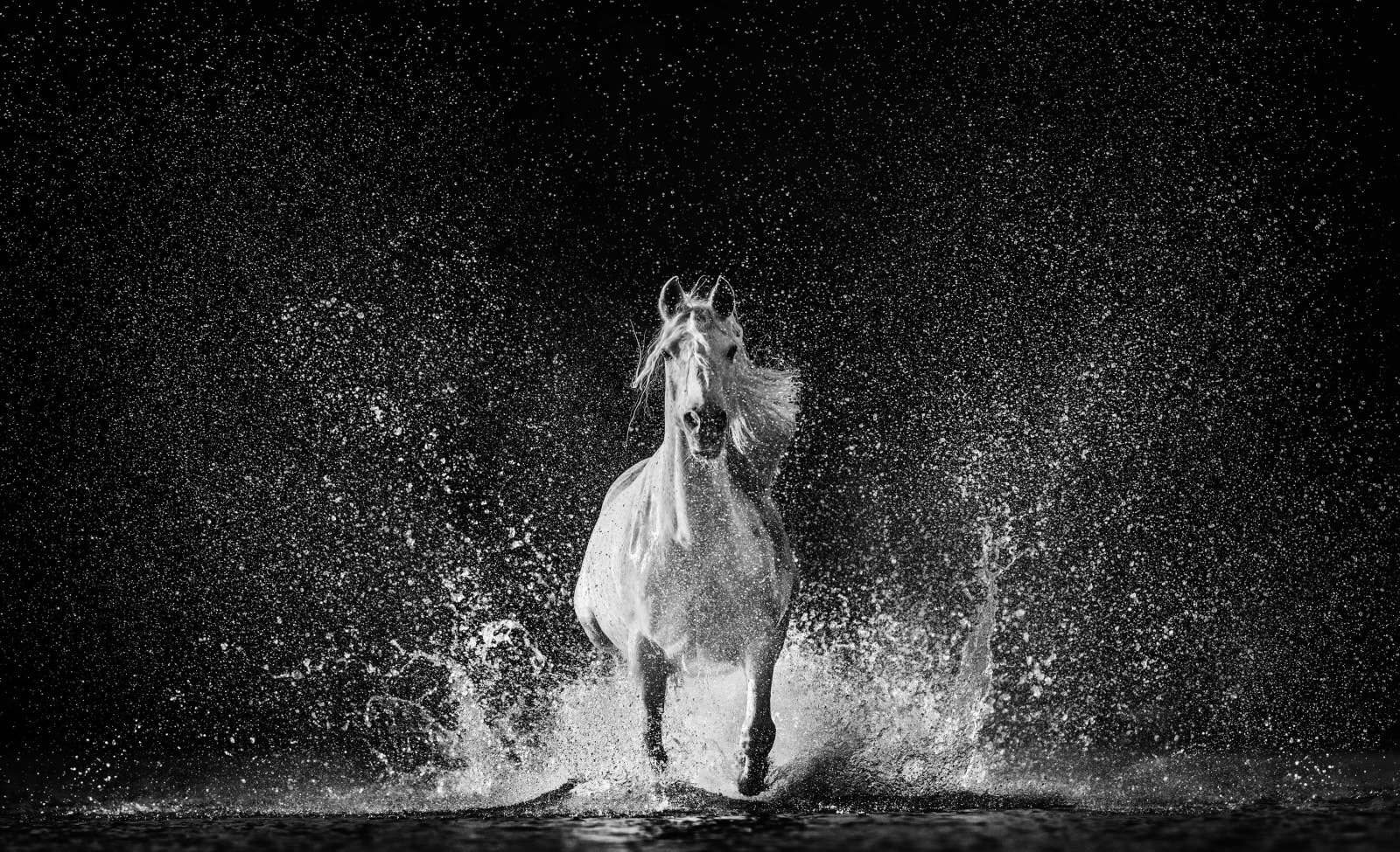 David Yarrow, The Shape of Water