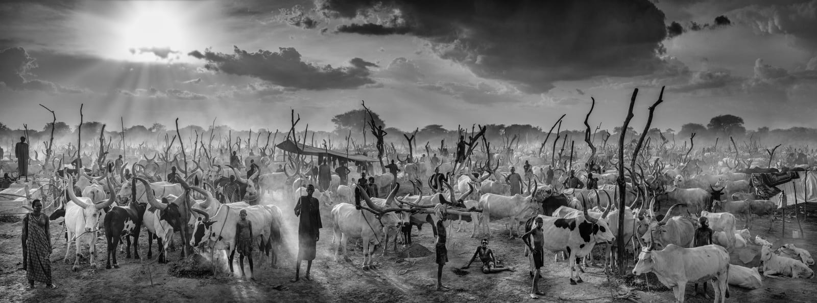 David Yarrow, The New Testament
