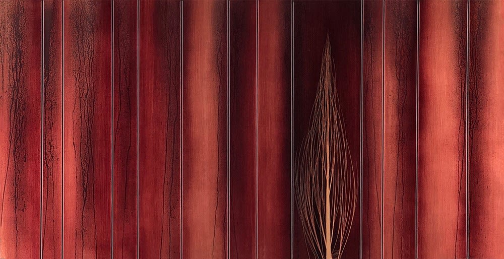 Hamilton Aguiar, 18007 Cores