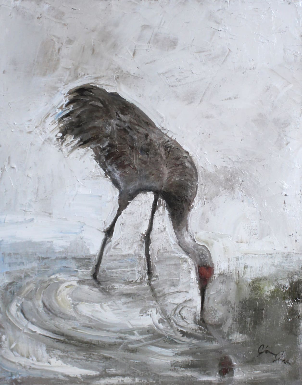 Gloria Grace Blinn, Contour