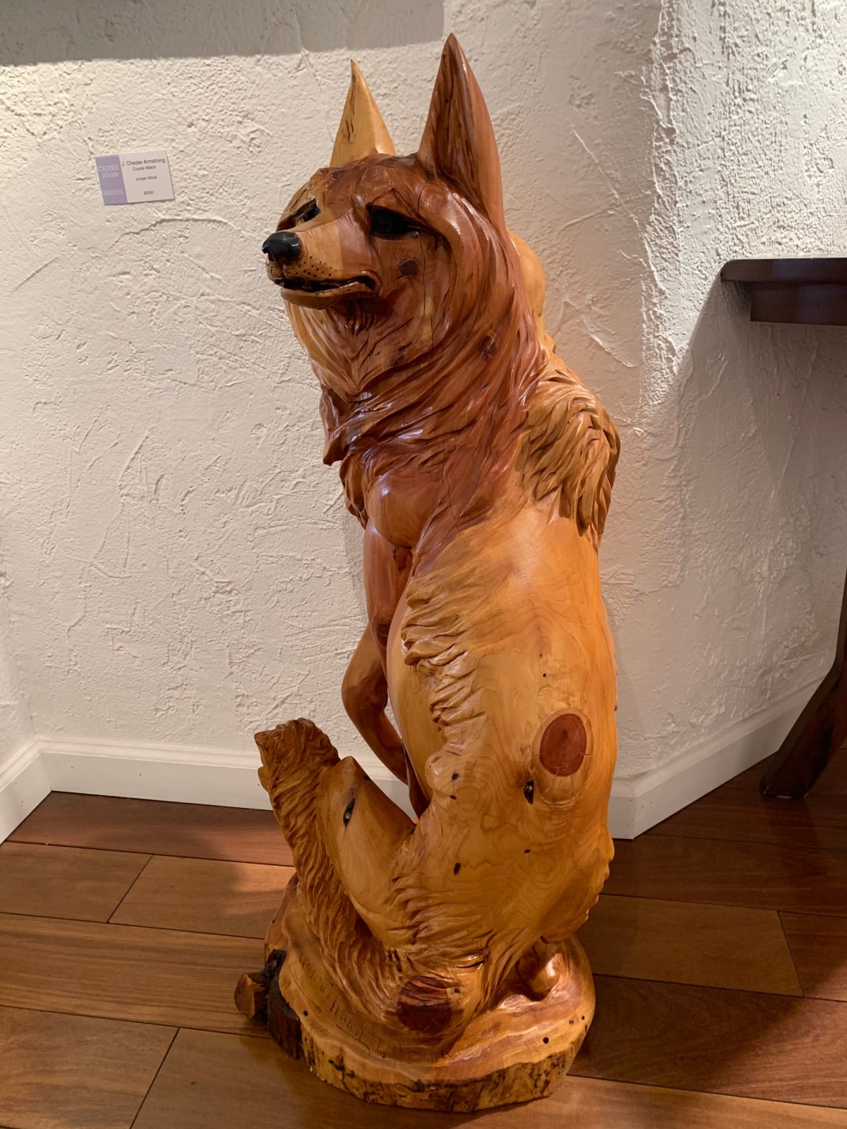 J. Chester Armstrong, Coyote Watch