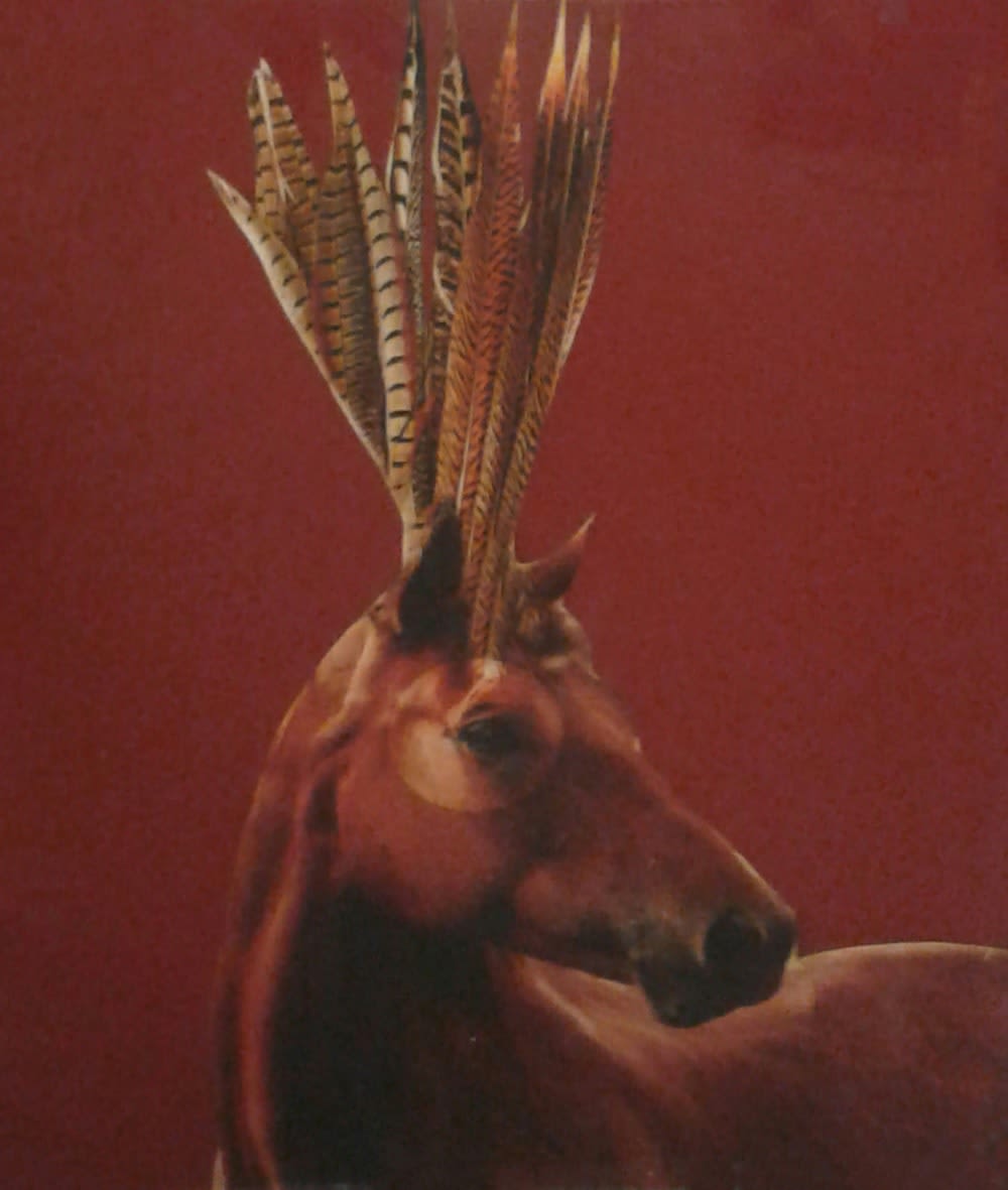 Anke Schofield, Horse Feathers II