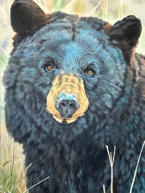 Doug Behm, Black & Blue