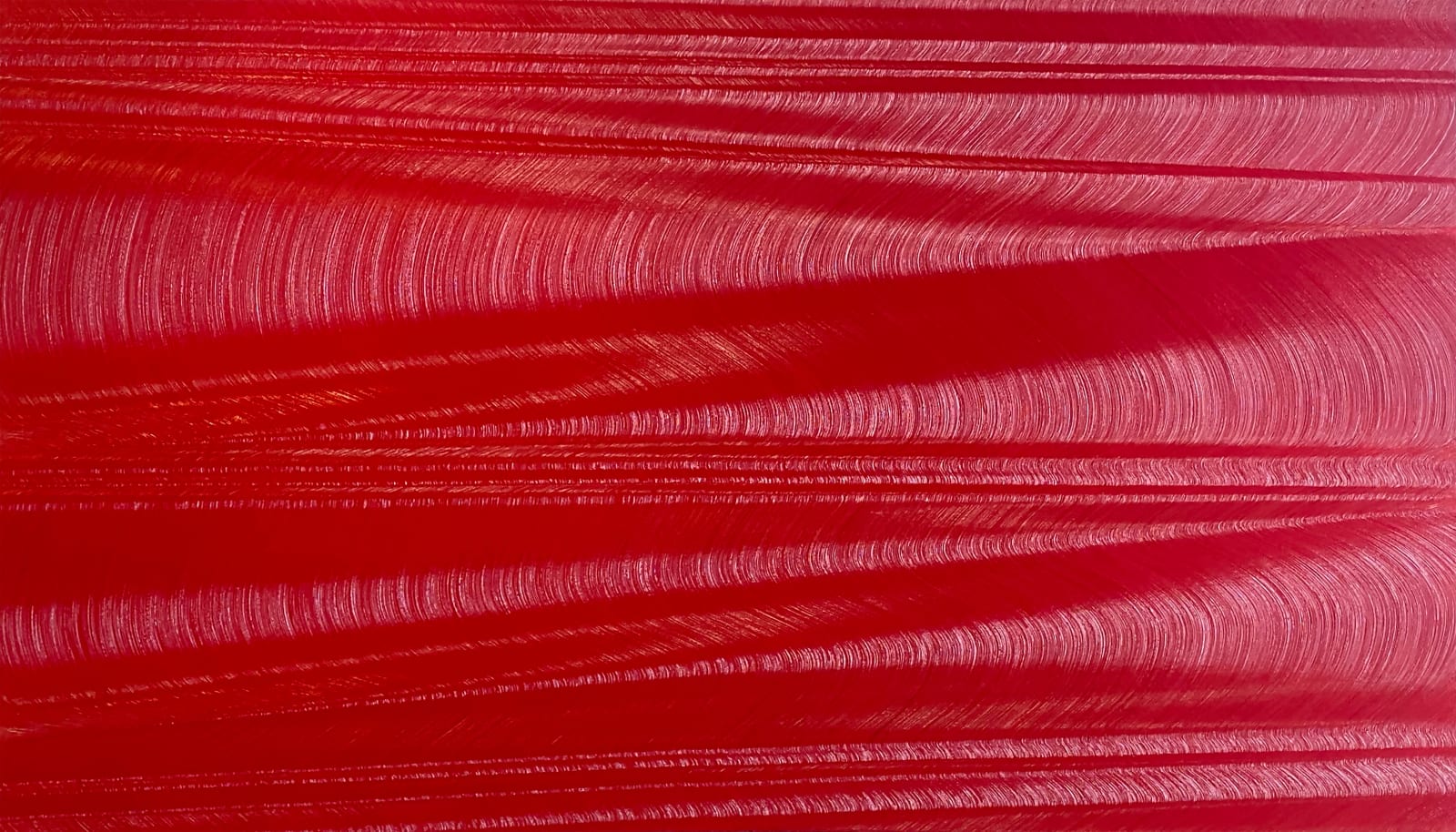 Hamilton Aguiar, Optical 21070