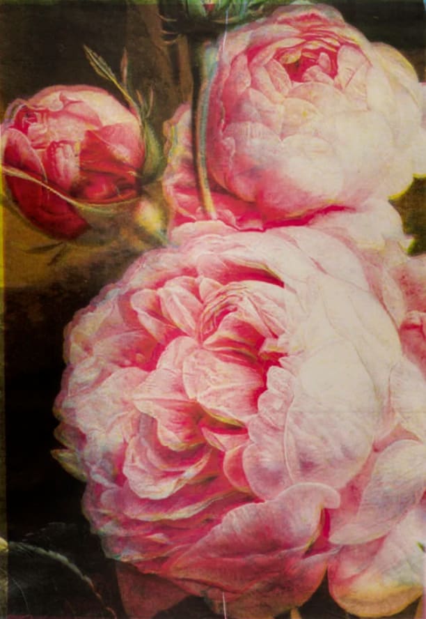 Russell Young, The Perfect Kiss