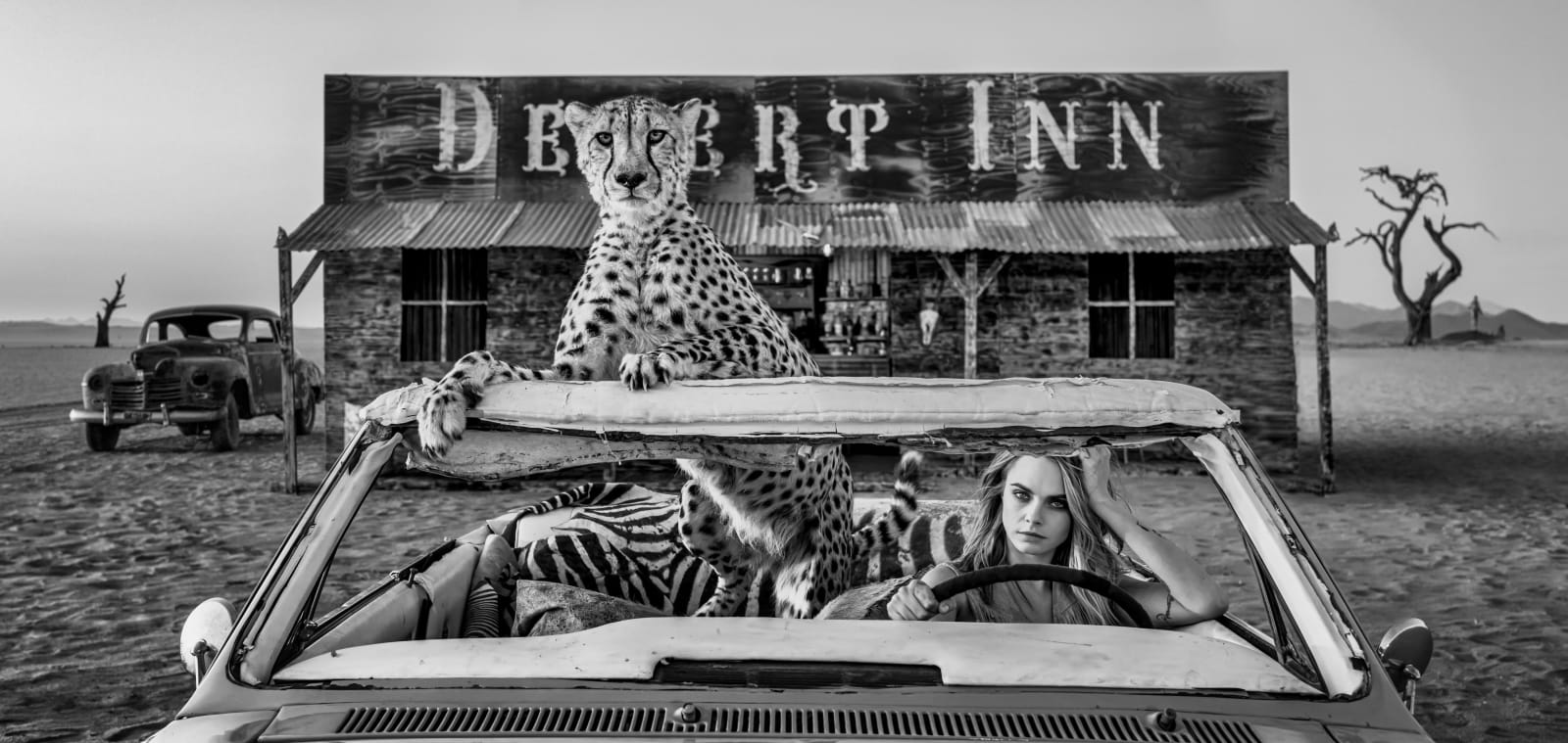 David Yarrow, Bad Asses (B&W)