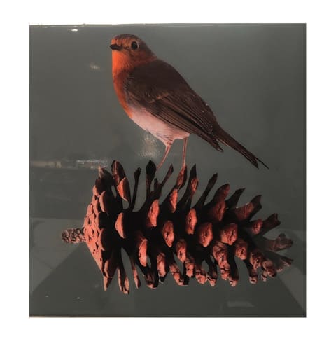 Anke Schofield, Pine Cone 3