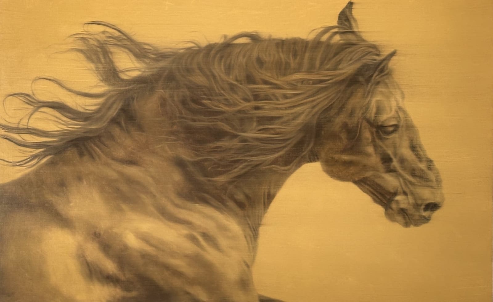 Doug Behm, Free Spirit