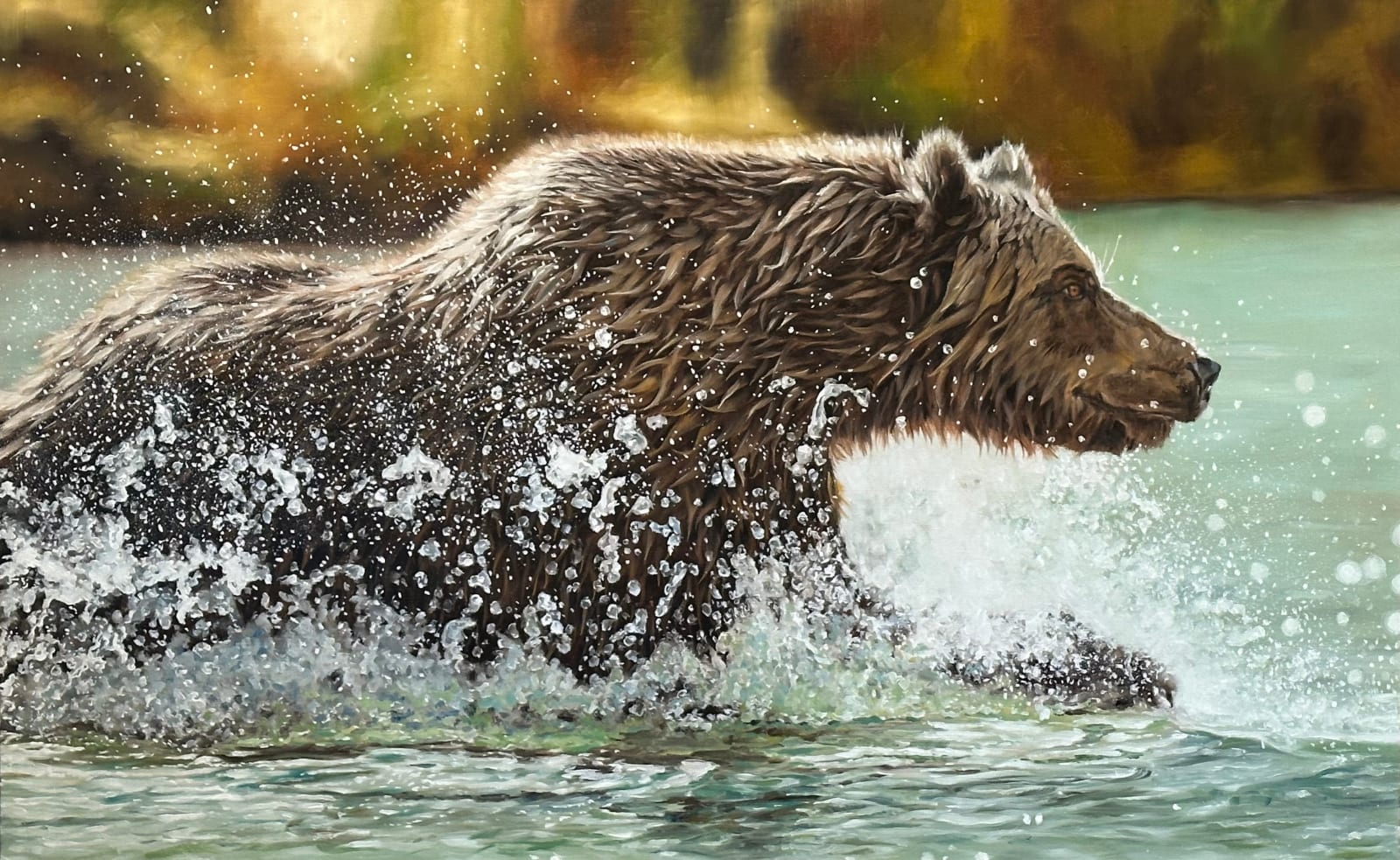 Doug Behm, Salmon Run