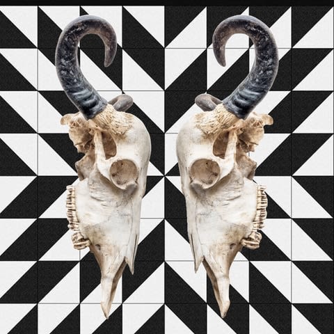 Anke Schofield, Wild West