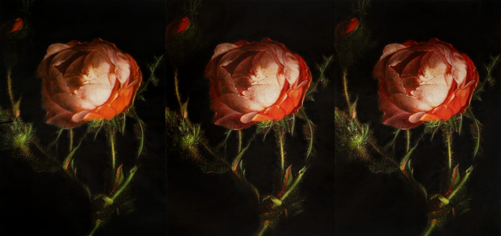 Russell Young, Vicious Circle Triptych