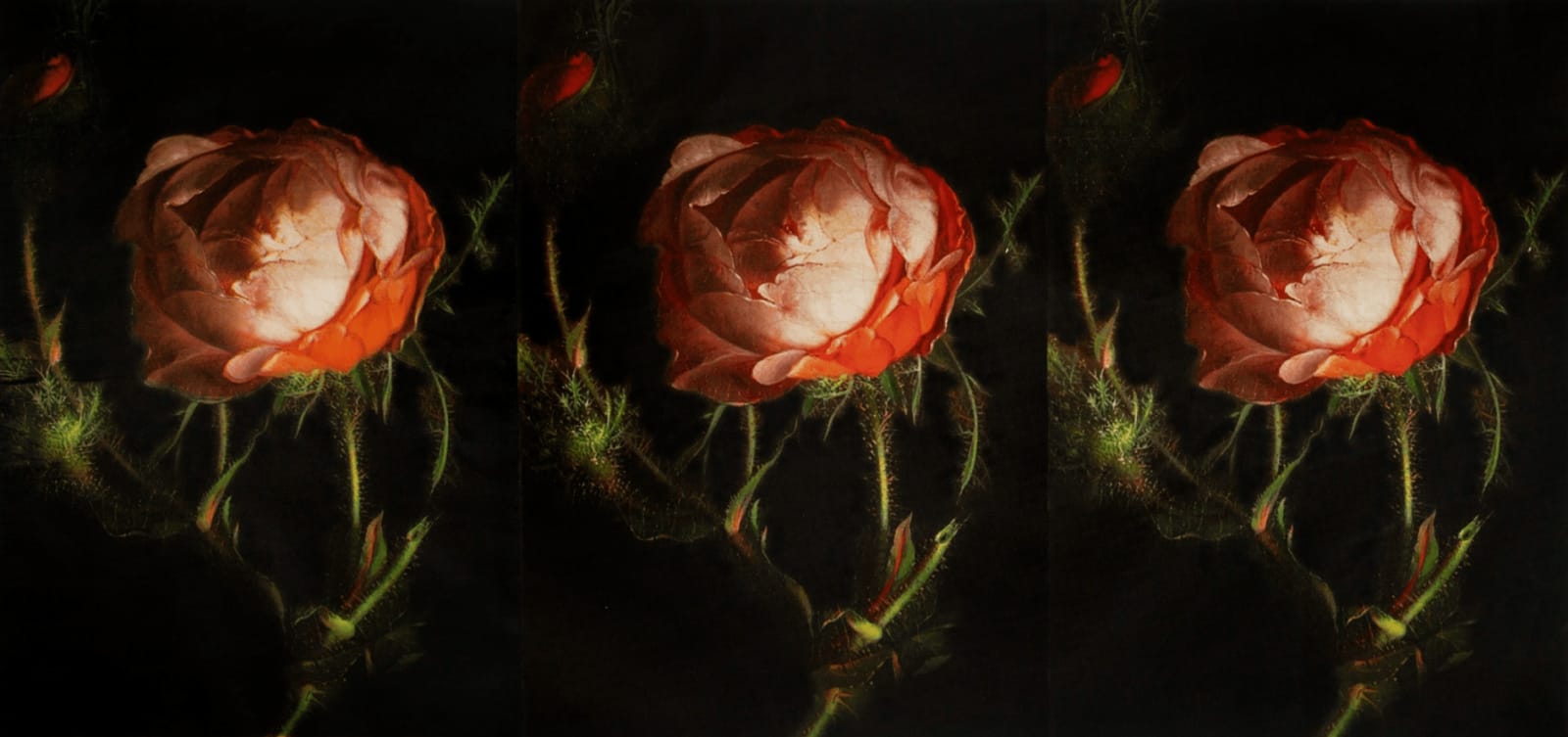 Russell Young, Vicious Circle Triptych