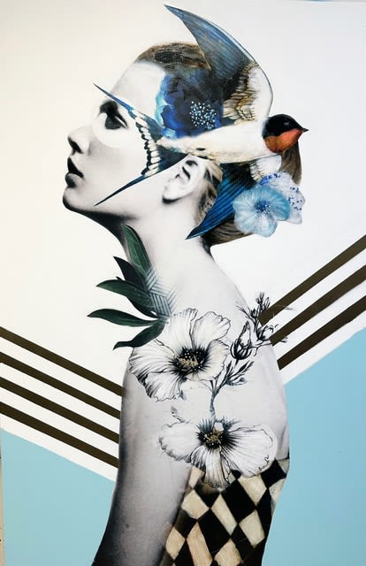 Anke Schofield, Soaring II